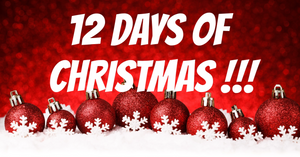 12 Days of Christmas STARTS NOW!!